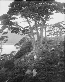 Travel views of Japan and Korea, 1908. Creator: Arnold Genthe