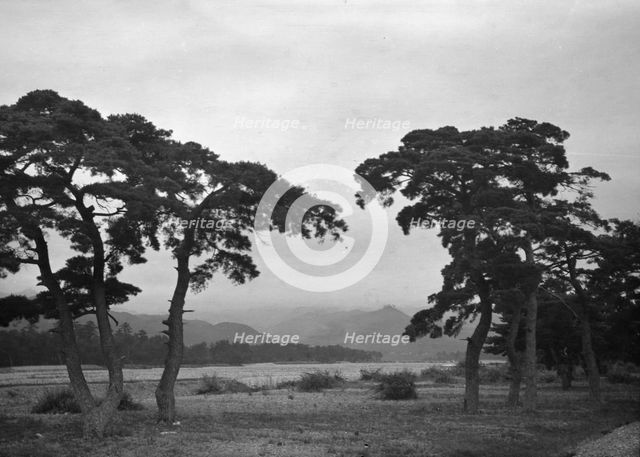Travel views of Japan and Korea, 1908. Creator: Arnold Genthe.