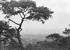 Travel views of Japan and Korea, 1908. Creator: Arnold Genthe