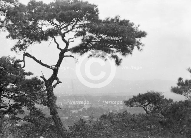 Travel views of Japan and Korea, 1908. Creator: Arnold Genthe.