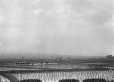 Travel views of Japan and Korea, 1908. Creator: Arnold Genthe