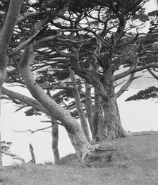 Travel views of Japan and Korea, 1908. Creator: Arnold Genthe