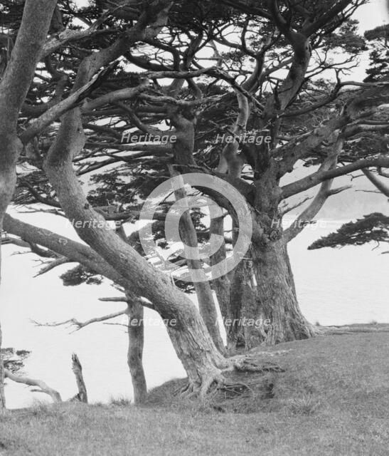 Travel views of Japan and Korea, 1908. Creator: Arnold Genthe.