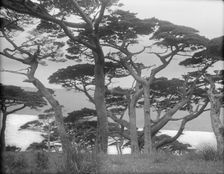 Travel views of Japan and Korea, 1908. Creator: Arnold Genthe