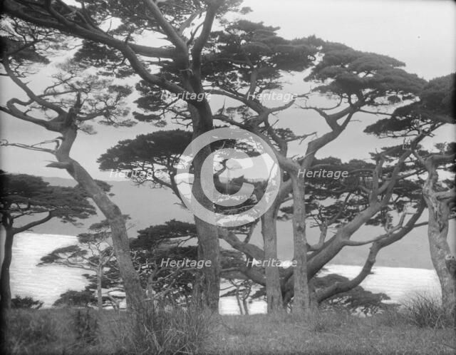 Travel views of Japan and Korea, 1908. Creator: Arnold Genthe.