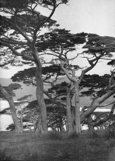 Travel views of Japan and Korea, 1908. Creator: Arnold Genthe