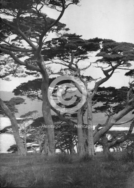 Travel views of Japan and Korea, 1908. Creator: Arnold Genthe.