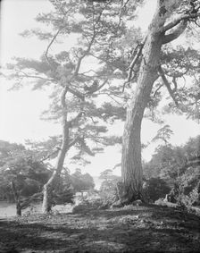 Travel views of Japan and Korea, 1908. Creator: Arnold Genthe