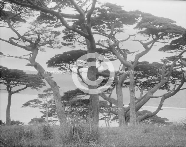Travel views of Japan and Korea, 1908. Creator: Arnold Genthe.