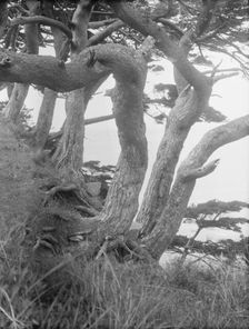 Travel views of Japan and Korea, 1908. Creator: Arnold Genthe