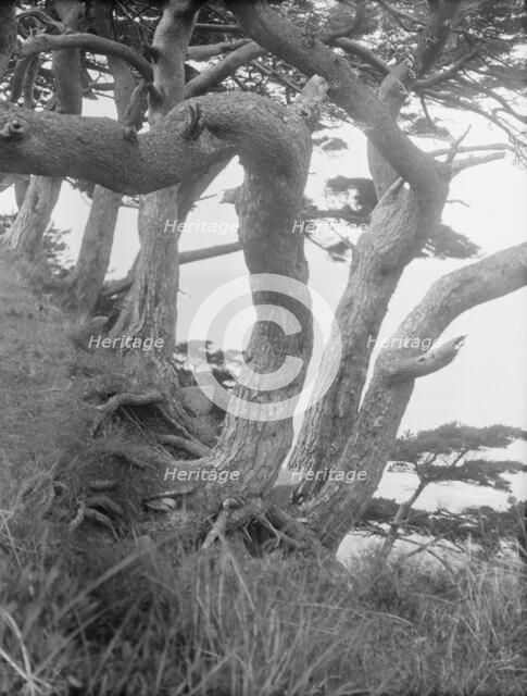 Travel views of Japan and Korea, 1908. Creator: Arnold Genthe.
