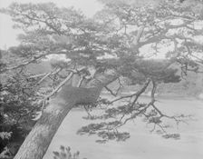 Travel views of Japan and Korea, 1908. Creator: Arnold Genthe