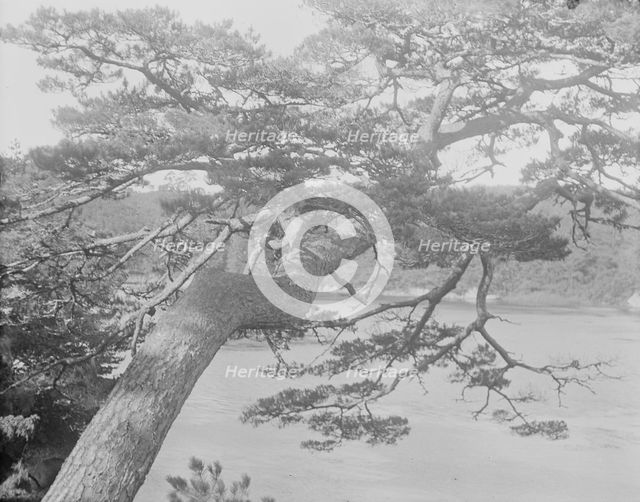 Travel views of Japan and Korea, 1908. Creator: Arnold Genthe.