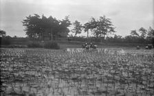 Travel views of Japan and Korea, 1908. Creator: Arnold Genthe