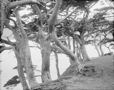 Travel views of Japan and Korea, 1908. Creator: Arnold Genthe