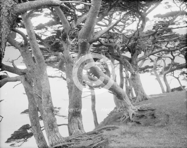 Travel views of Japan and Korea, 1908. Creator: Arnold Genthe.