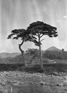 Travel views of Japan and Korea, 1908. Creator: Arnold Genthe