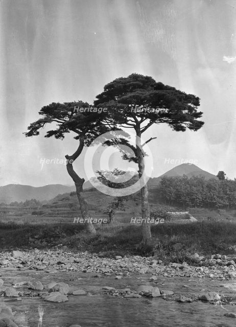 Travel views of Japan and Korea, 1908. Creator: Arnold Genthe.