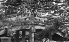 Travel views of Japan and Korea, 1908. Creator: Arnold Genthe