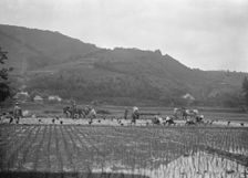 Travel views of Japan and Korea, 1908. Creator: Arnold Genthe