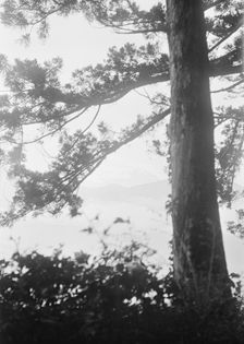 Travel views of Japan and Korea, 1908. Creator: Arnold Genthe