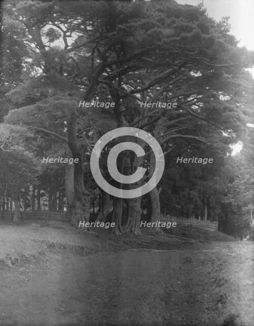 Travel views of Japan and Korea, 1908. Creator: Arnold Genthe.