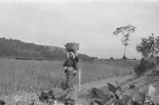 Travel views of Japan and Korea, 1908. Creator: Arnold Genthe