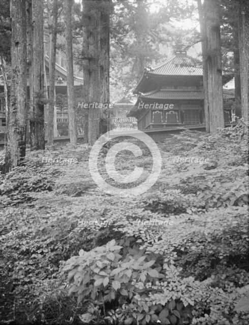 Travel views of Japan and Korea, 1908. Creator: Arnold Genthe.