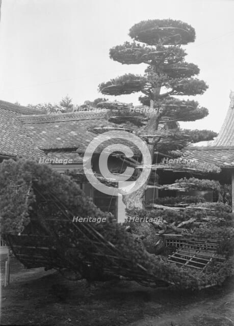 Travel views of Japan and Korea, 1908. Creator: Arnold Genthe.