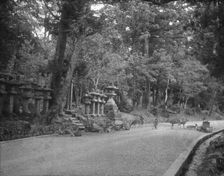 Travel views of Japan and Korea, 1908. Creator: Arnold Genthe