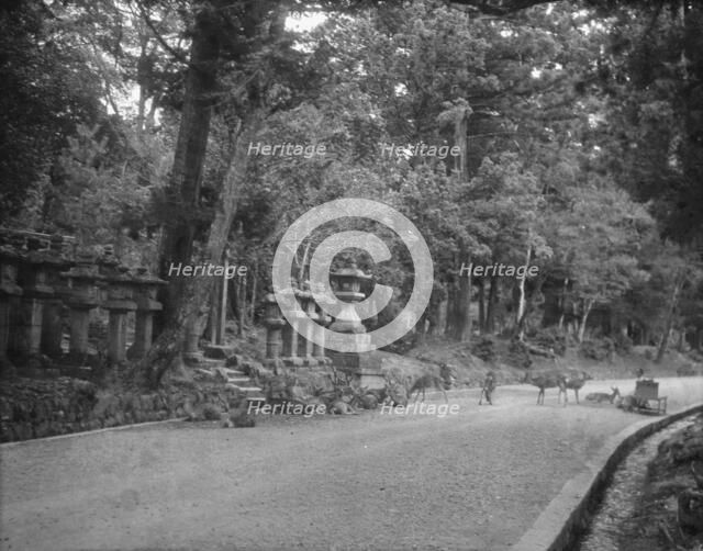 Travel views of Japan and Korea, 1908. Creator: Arnold Genthe.