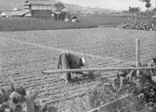 Travel views of Japan and Korea, 1908. Creator: Arnold Genthe