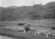 Travel views of Japan and Korea, 1908. Creator: Arnold Genthe