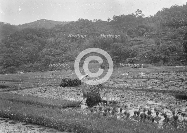 Travel views of Japan and Korea, 1908. Creator: Arnold Genthe.