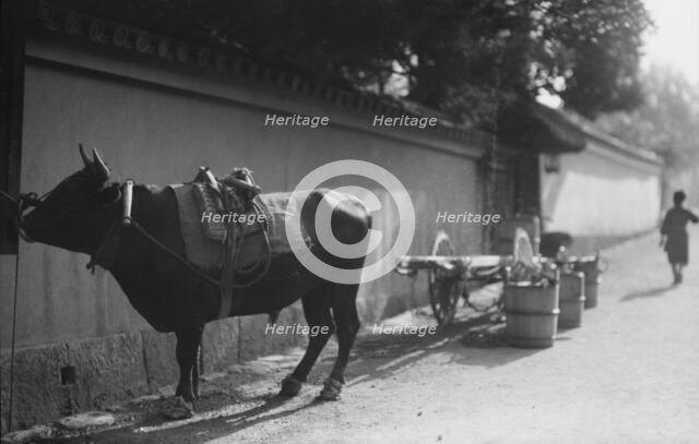 Travel views of Japan and Korea, 1908. Creator: Arnold Genthe.