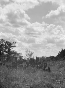 Travel views of the American Southwest, between 1899 and 1928. Creator: Arnold Genthe
