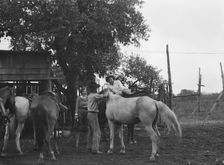 Travel views of the American Southwest, between 1899 and 1928. Creator: Arnold Genthe