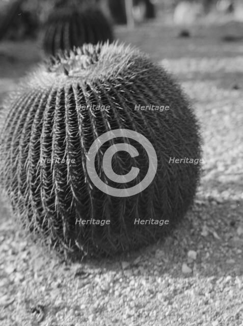 Travel views of the American Southwest, between 1899 and 1928. Creator: Arnold Genthe.