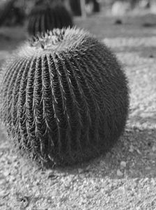 Travel views of the American Southwest, between 1899 and 1928. Creator: Arnold Genthe