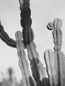 Travel views of the American Southwest, between 1899 and 1928. Creator: Arnold Genthe