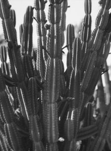 Travel views of the American Southwest, between 1899 and 1928. Creator: Arnold Genthe