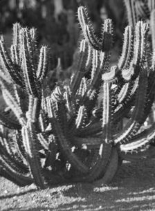 Travel views of the American Southwest, between 1899 and 1928. Creator: Arnold Genthe