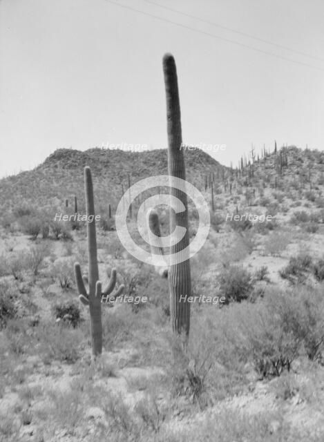 Travel views of the American Southwest, between 1899 and 1928. Creator: Arnold Genthe.