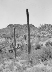 Travel views of the American Southwest, between 1899 and 1928. Creator: Arnold Genthe