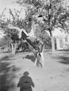 Travel views of the American Southwest, between 1899 and 1928. Creator: Arnold Genthe