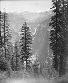 Travel views of Yosemite National Park, between 1903 and 1906. Creator: Arnold Genthe