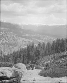 Travel views of Yosemite National Park, between 1903 and 1906. Creator: Arnold Genthe