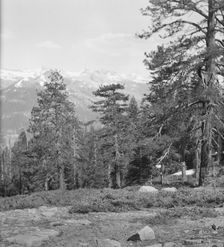 Travel views of Yosemite National Park, between 1903 and 1906. Creator: Arnold Genthe
