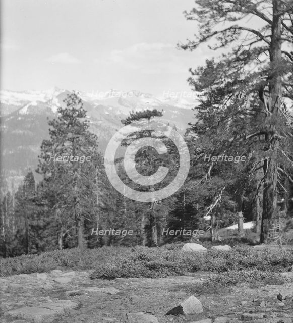 Travel views of Yosemite National Park, between 1903 and 1906. Creator: Arnold Genthe.