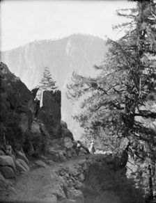 Travel views of Yosemite National Park, between 1903 and 1906. Creator: Arnold Genthe